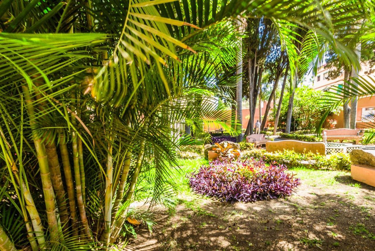 Hostal Tropical 阿尔姆尼卡 外观 照片